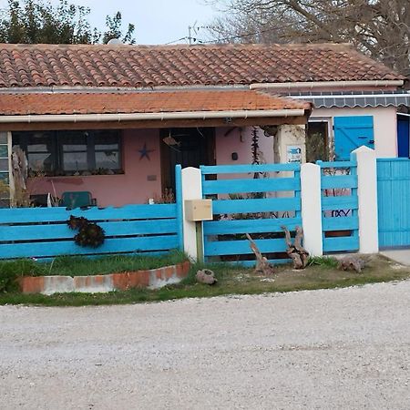 Une Maison Sur Une Presqu'Ile 罗讷河畔圣路易港 外观 照片