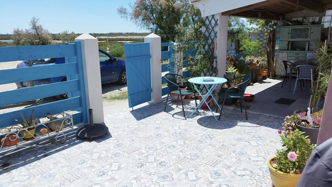 Une Maison Sur Une Presqu'Ile 罗讷河畔圣路易港 外观 照片